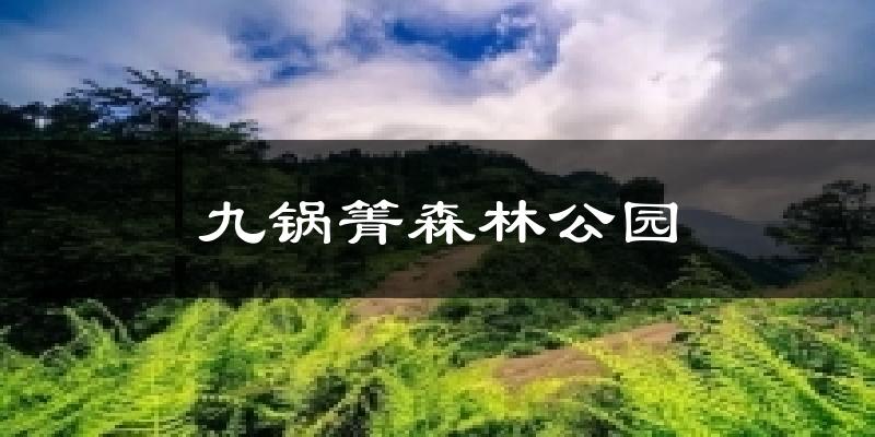 九锅箐森林公园天气未来15天