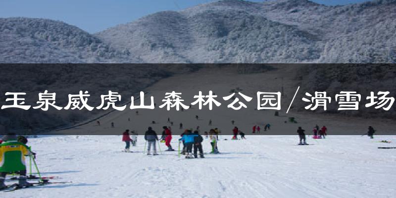玉泉威虎山森林公园/滑雪场气温