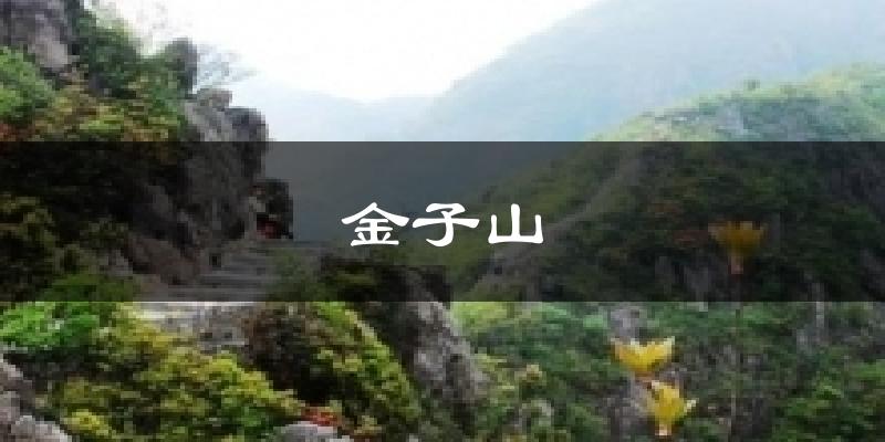 金子山天气未来15天