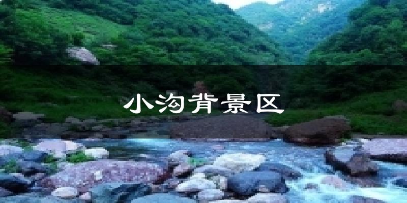小沟背景区今日天气