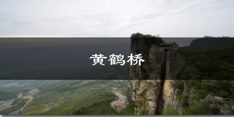 黄鹤桥天气未来15天