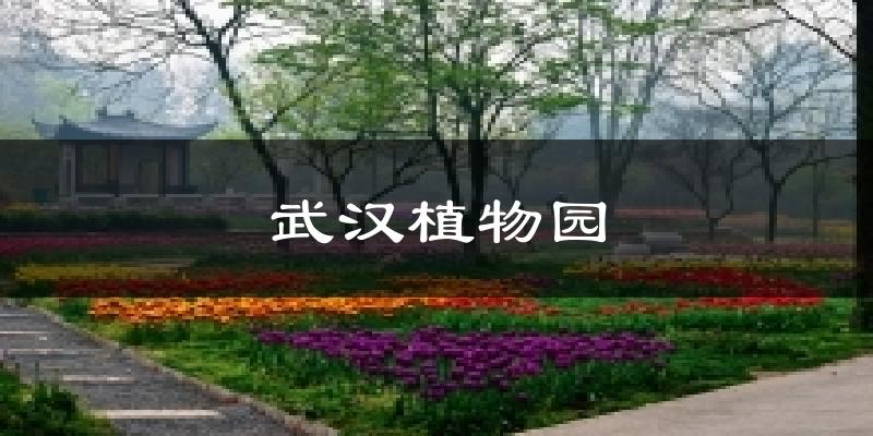 武汉植物园天气未来15天