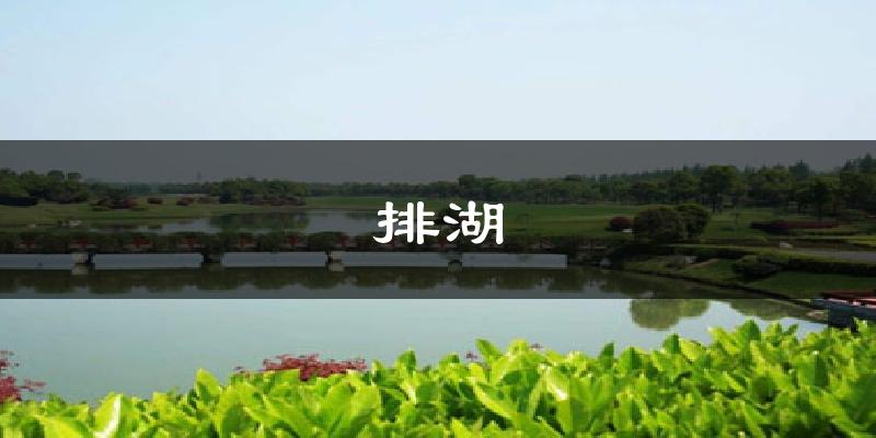 排湖气温