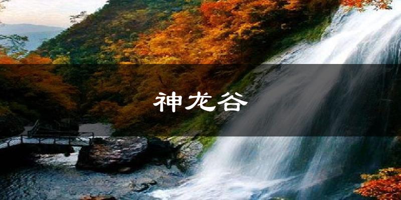 神龙谷天气未来15天