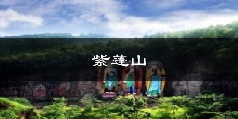 紫蓬山今日天气