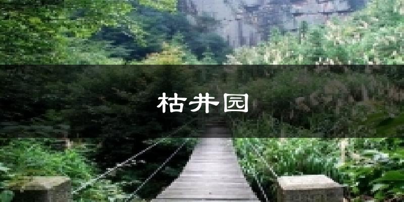枯井园天气未来15天