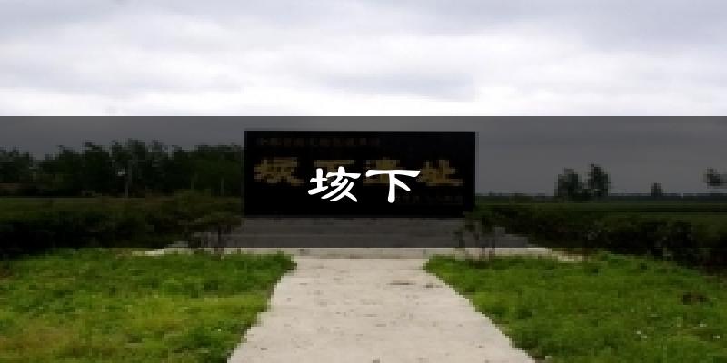 垓下天气未来15天