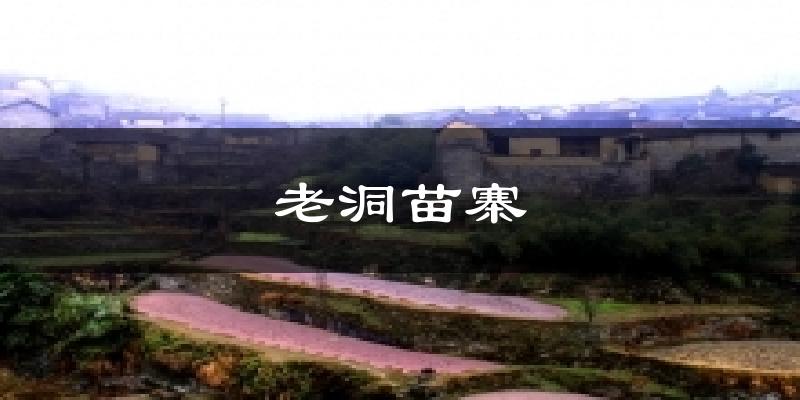 老洞苗寨今日天气