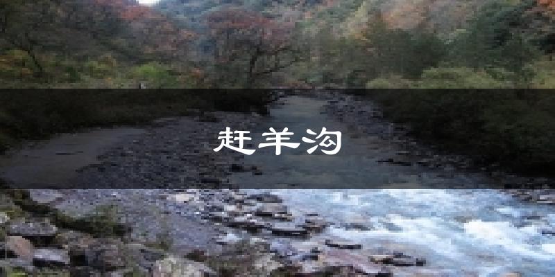 赶羊沟天气未来15天
