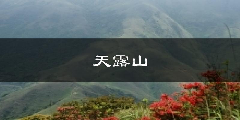 天露山天气未来15天
