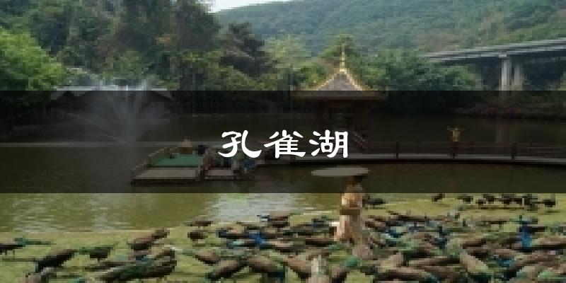 孔雀湖天气未来15天